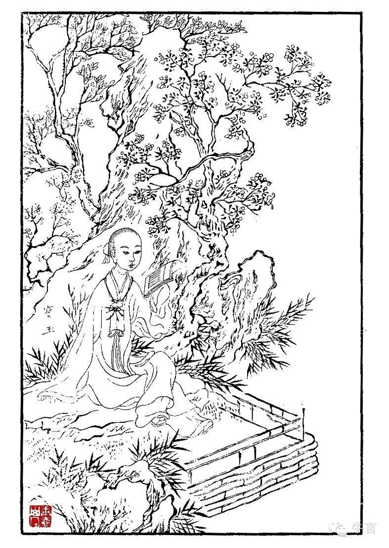 自谈红楼（开篇）